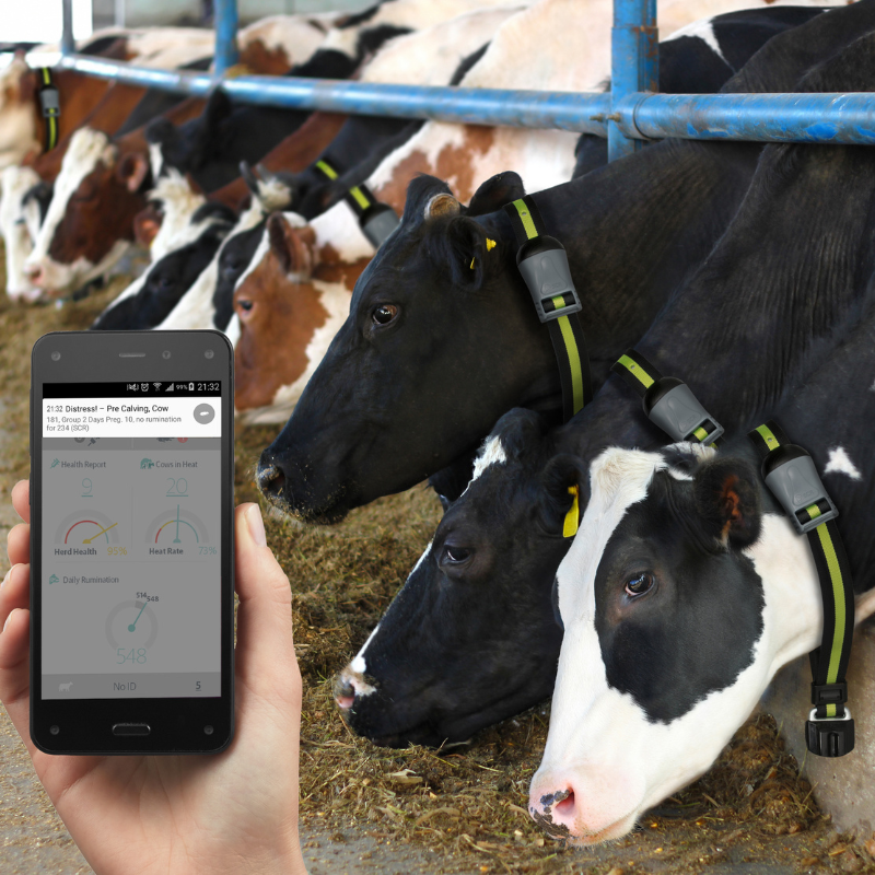 SenseHub - Monitoreo - Imagen 2