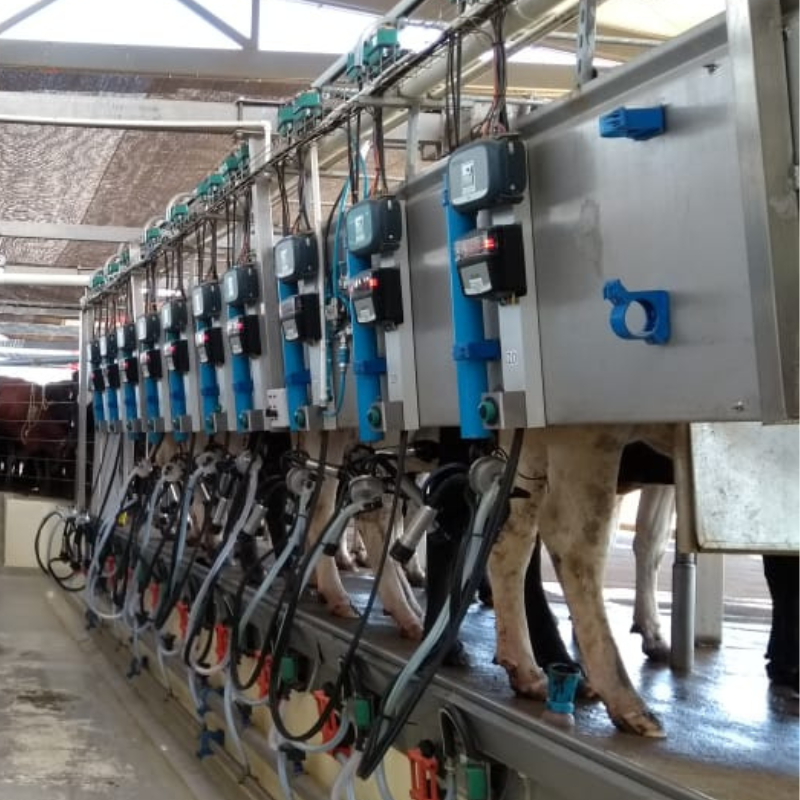 Sistema Inteligente ED200 - Ordeño - Imagen 3