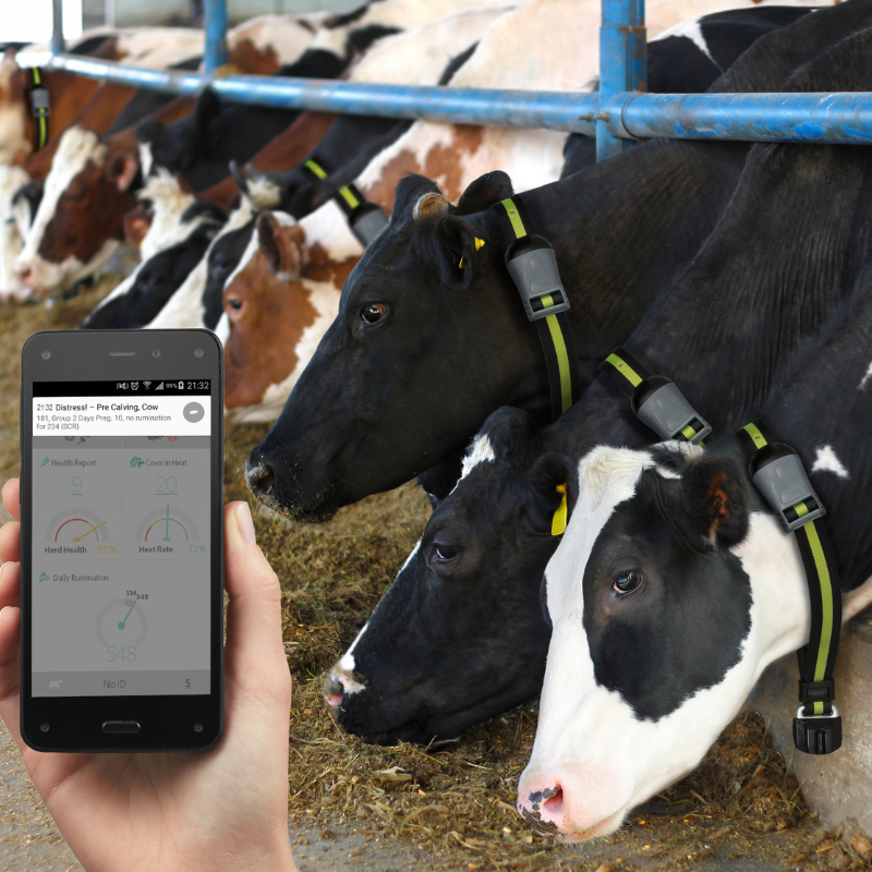 Data Flow - Imagen 4