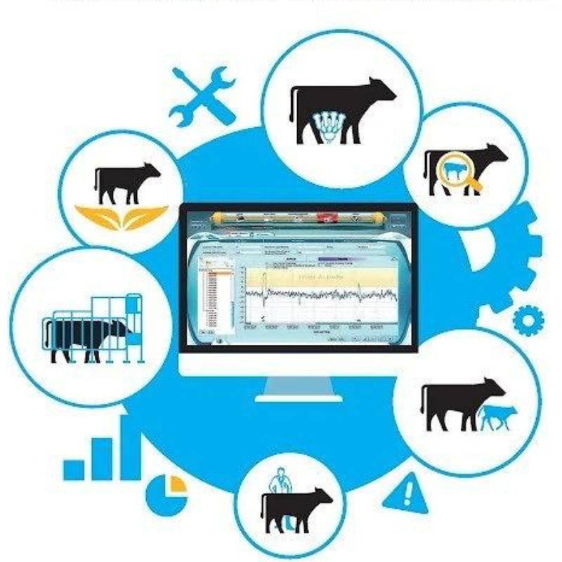 Data Flow - Imagen 3