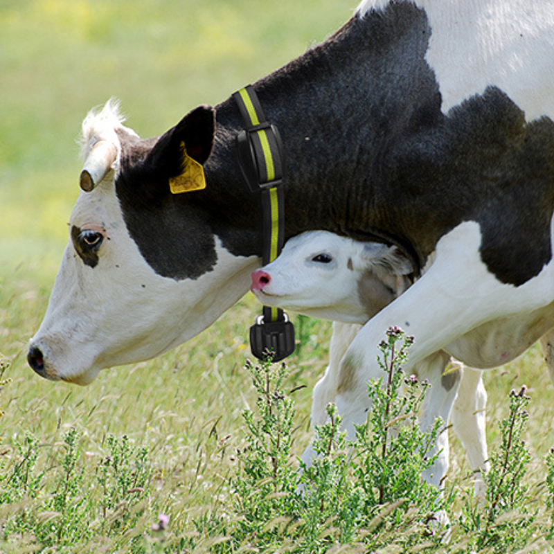 SenseHub - Monitoreo - Imagen 4