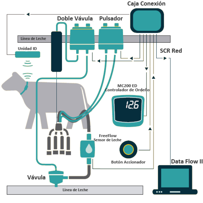 Data Flow - Imagen 2